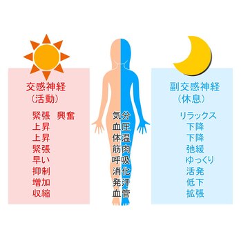 自律神経の乱れ