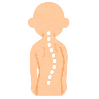 骨盤の傾きと体の不調について